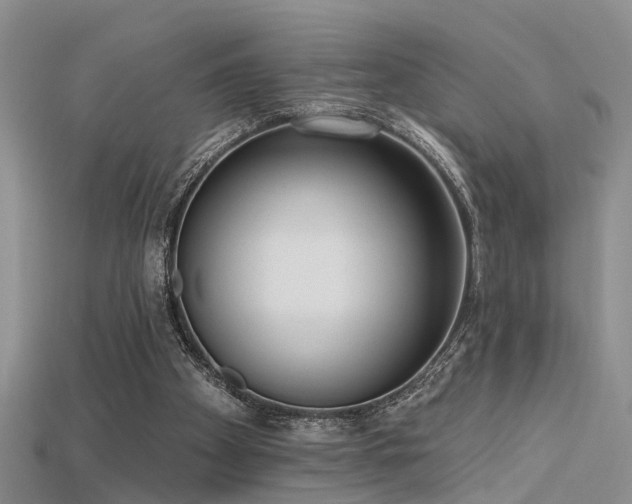 X0000115670105200911121201
