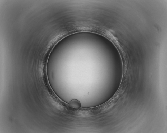X0000115670106200911121201