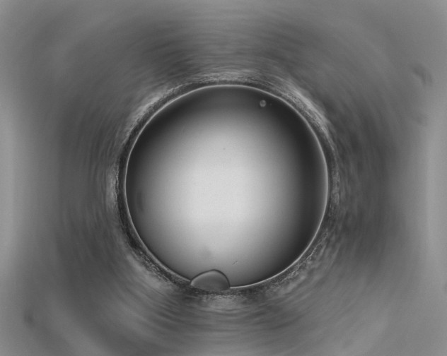 X0000115670107200911121201