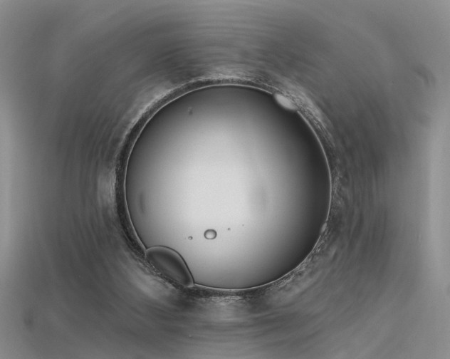 X0000115670108200911121201