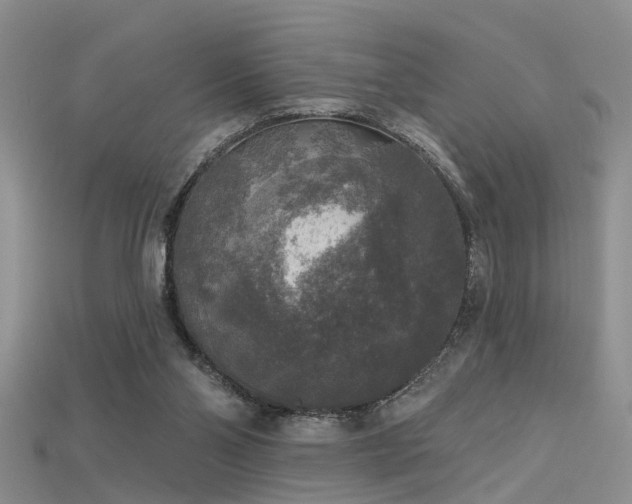 X0000115670110200911121201