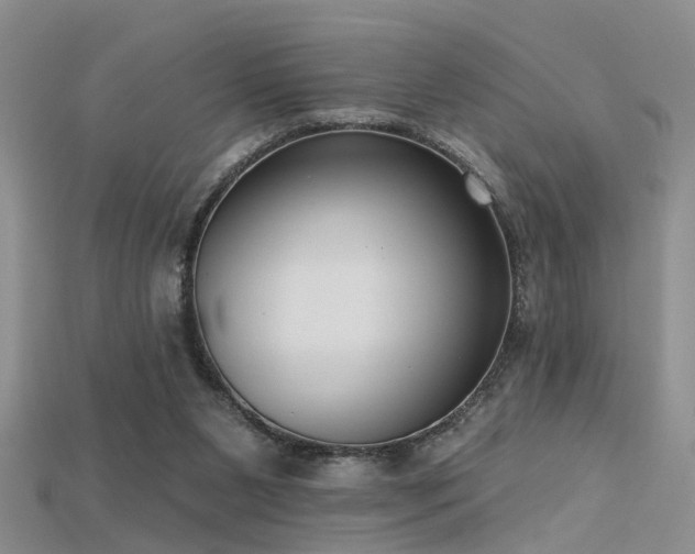 X0000115670111200911121201