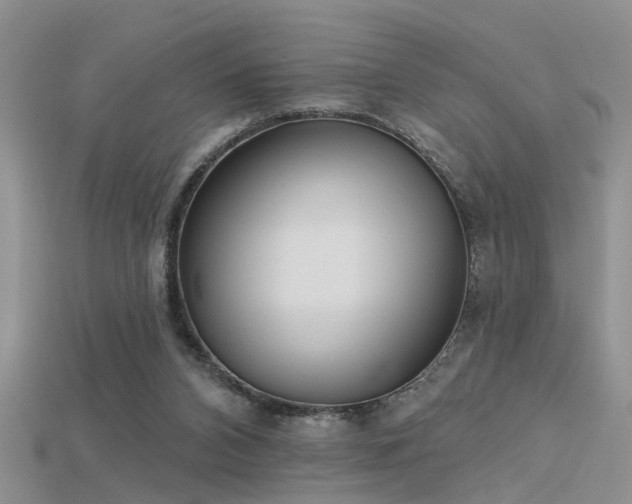 X0000115670112200911121201