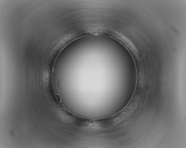 X0000115670113200911121201