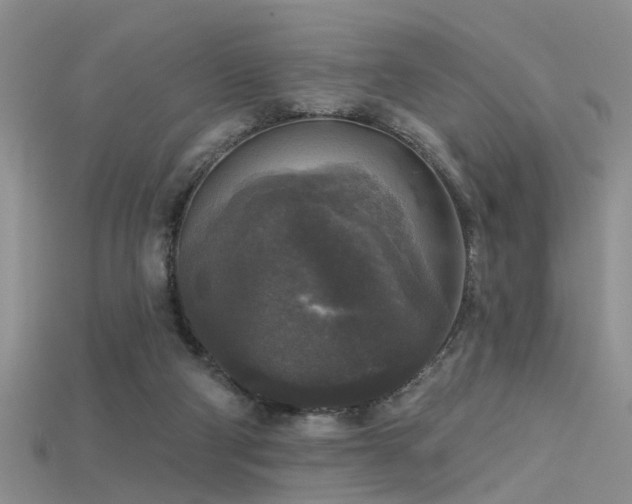 X0000115670114200911121201