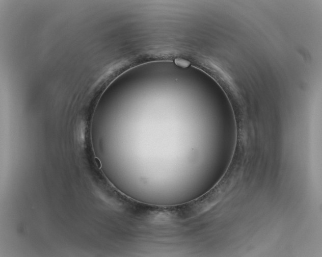 X0000115670115200911121201