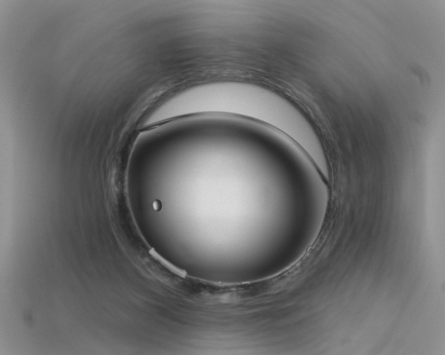 X0000115670116200911121201