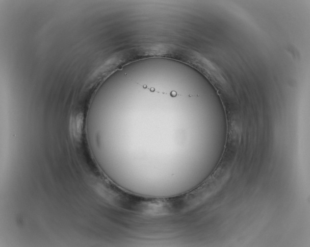 X0000115670118200911121201