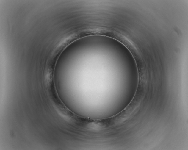 X0000115670119200911121201