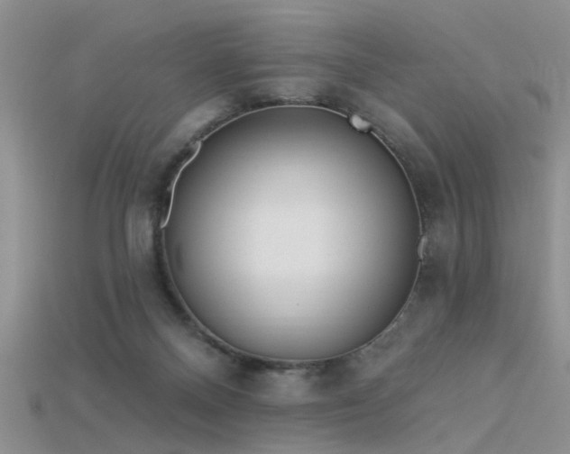 X0000115670120200911121201