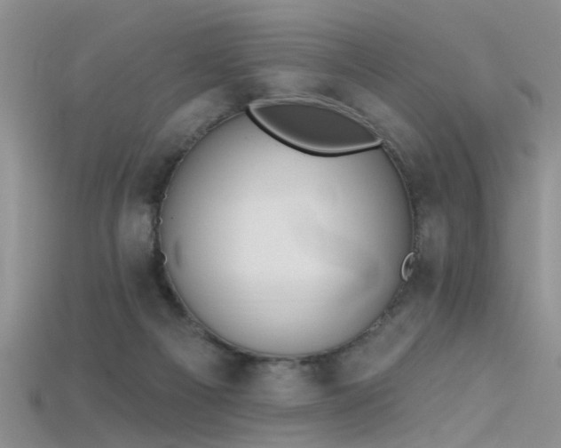 X0000115670121200911121201