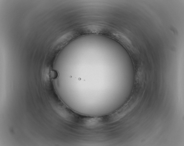 X0000115670122200911121201