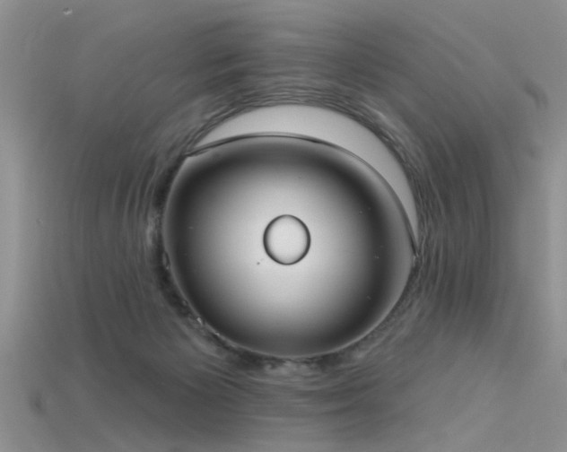 X0000115670125200911121201