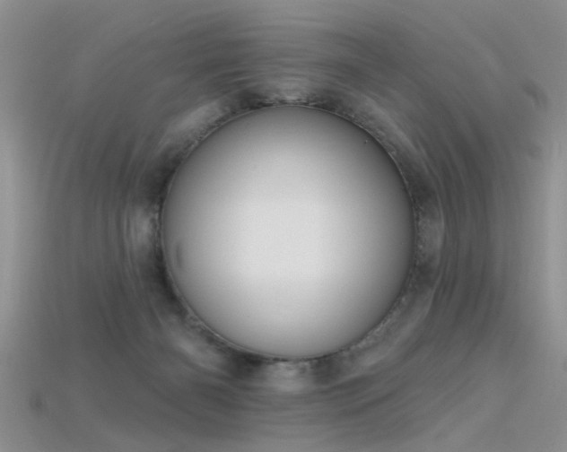 X0000115670126200911121201
