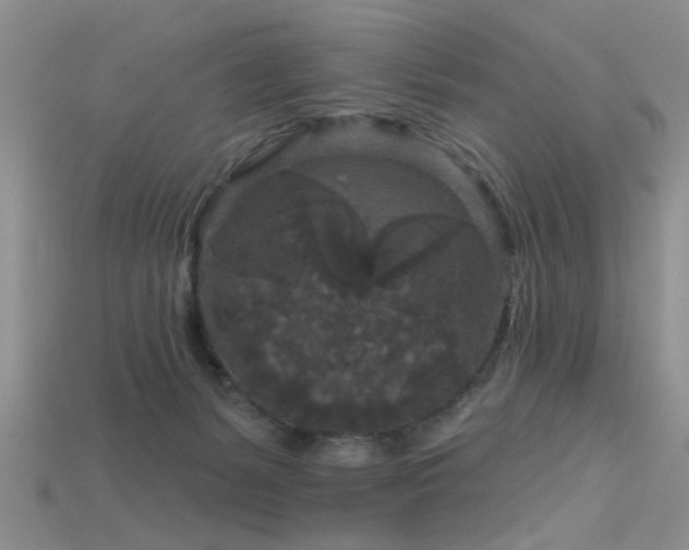 X0000115670127200911121201