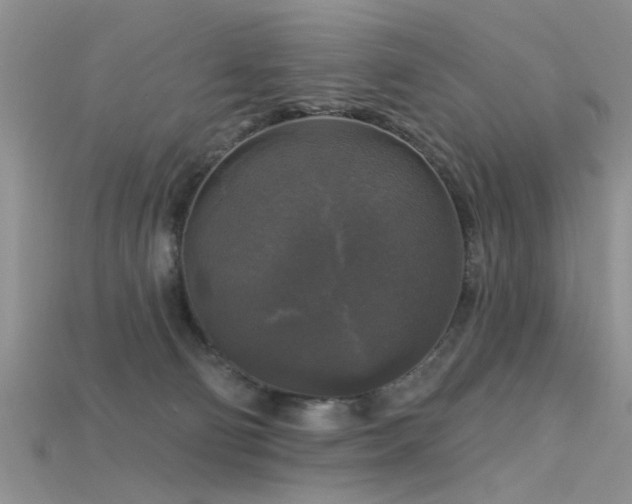 X0000115670130200911121201