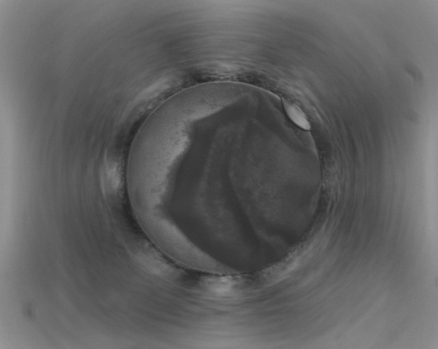 X0000115670131200911121201