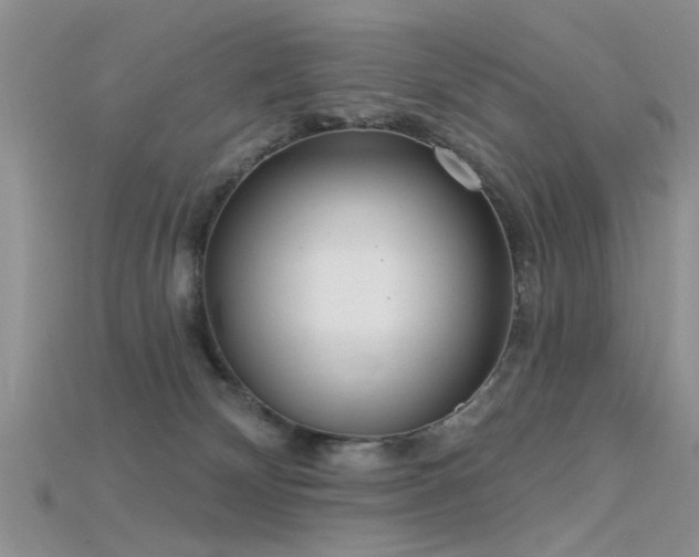 X0000115670132200911121201