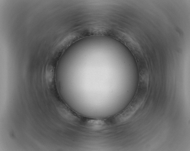 X0000115670133200911121201