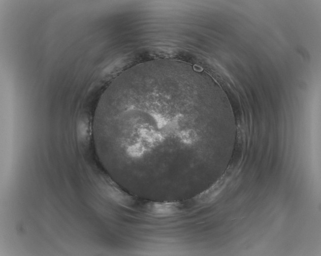 X0000115670134200911121201
