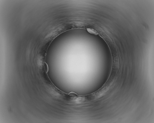 X0000115670135200911121201