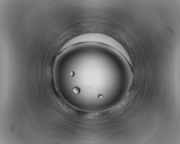 X0000115670136200911121201