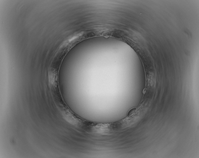 X0000115670138200911121201