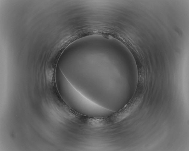 X0000115670139200911121201