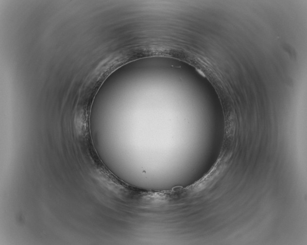 X0000115670140200911121201