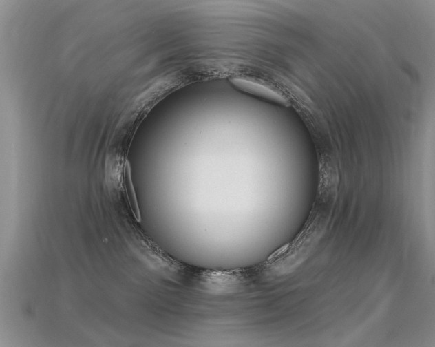 X0000115670141200911121201