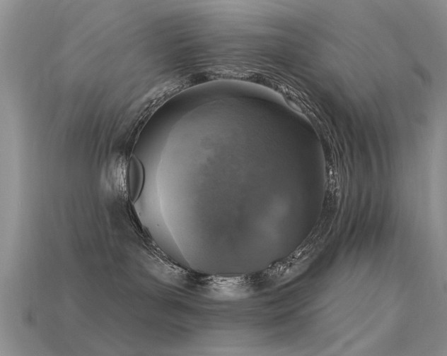 X0000115670143200911121201