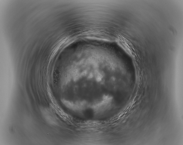 X0000115670145200911121200
