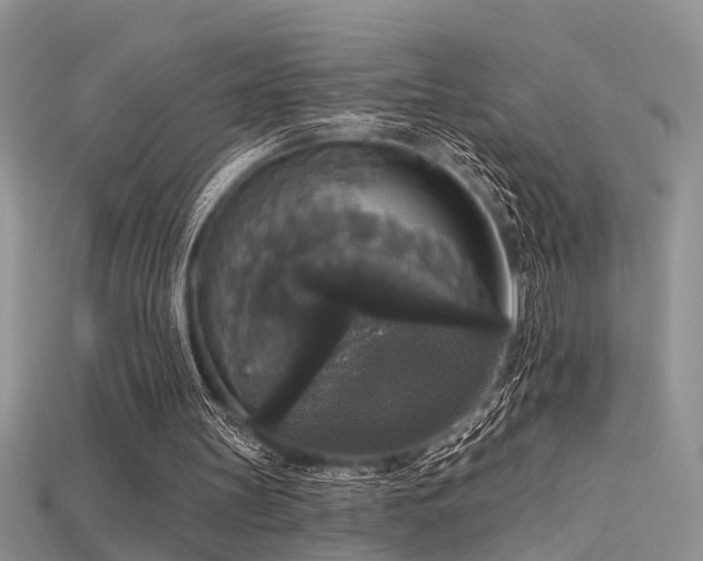 X0000115670147200911121200