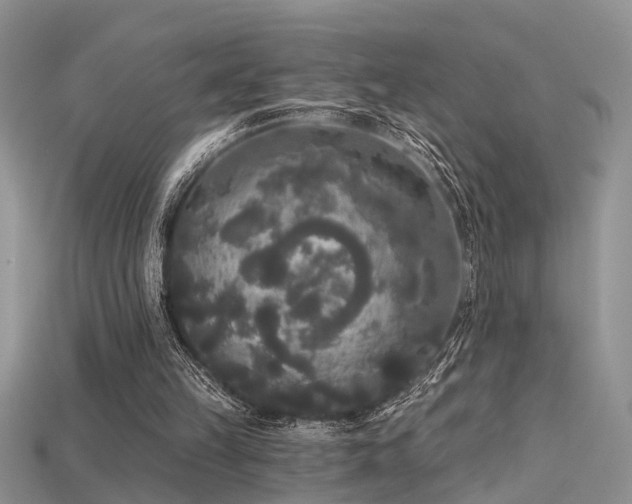 X0000115670149200911121200