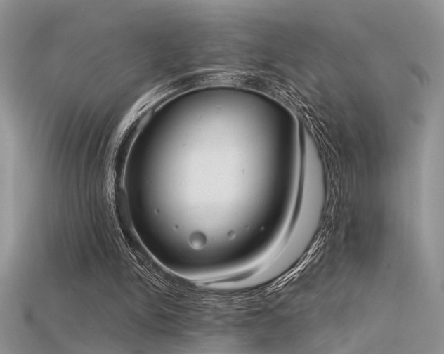X0000115670150200911121200
