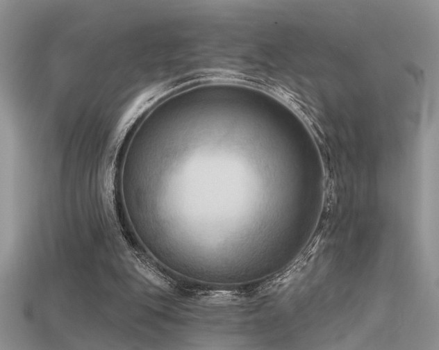 X0000115670151200911121200