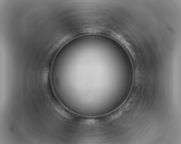 X0000115670153200911121200