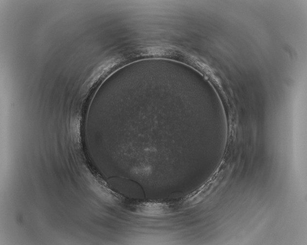 X0000115670154200911121200