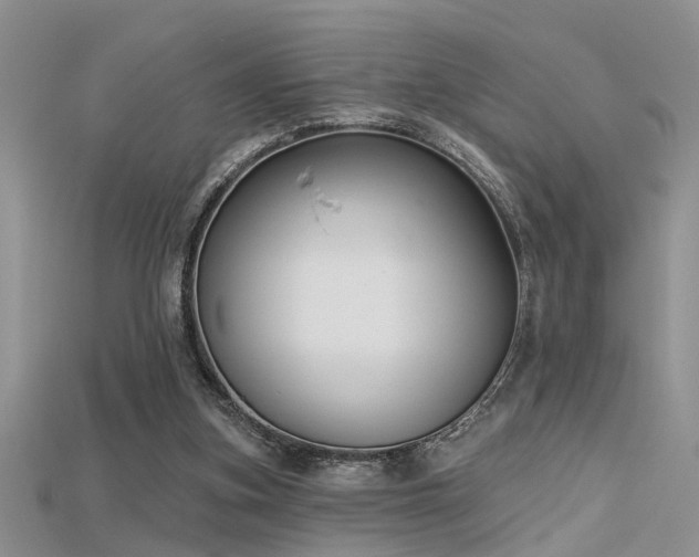 X0000115670155200911121200