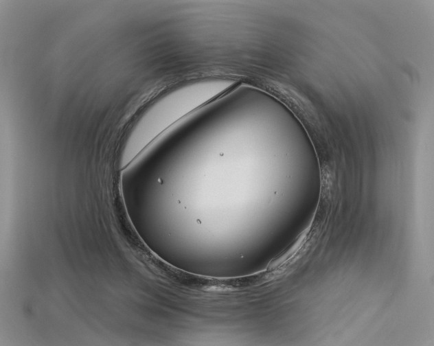 X0000115670158200911121200