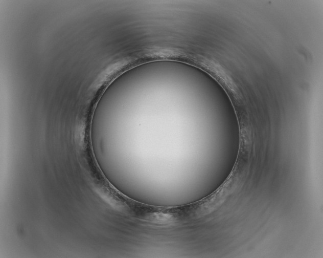 X0000115670159200911121200