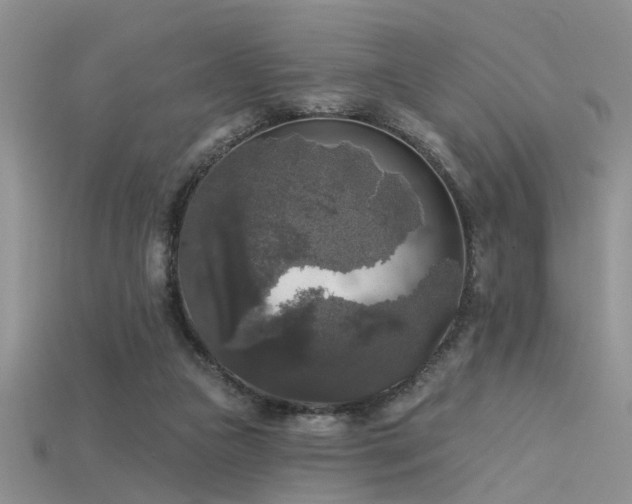 X0000115670161200911121200