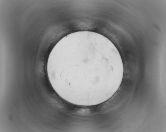 X0000115670162200911121200