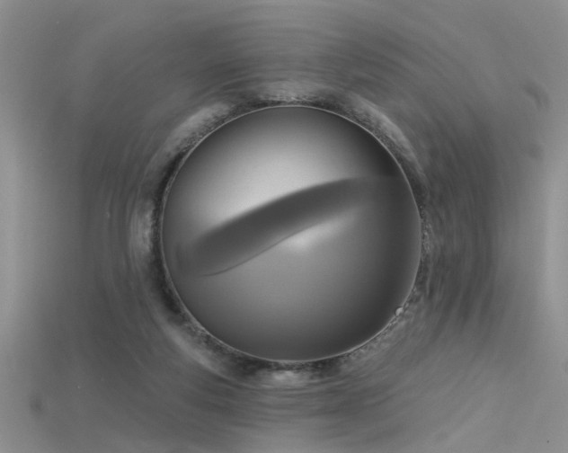 X0000115670163200911121200