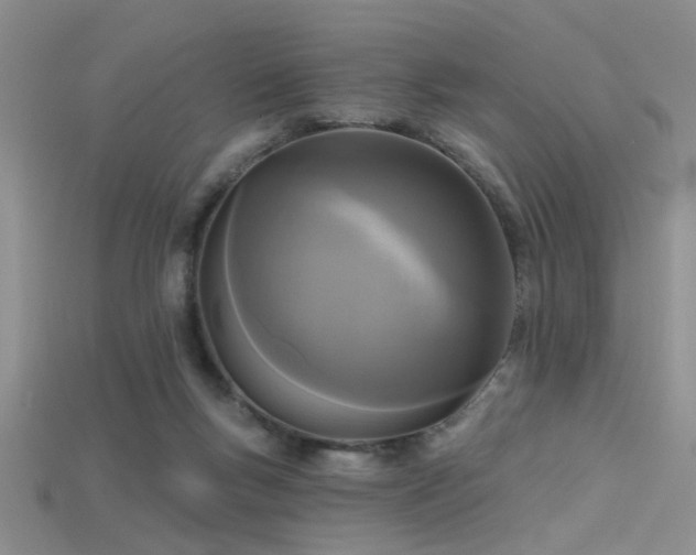 X0000115670167200911121200