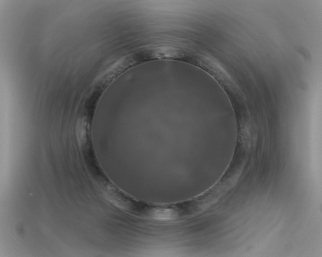 X0000115670169200911121200