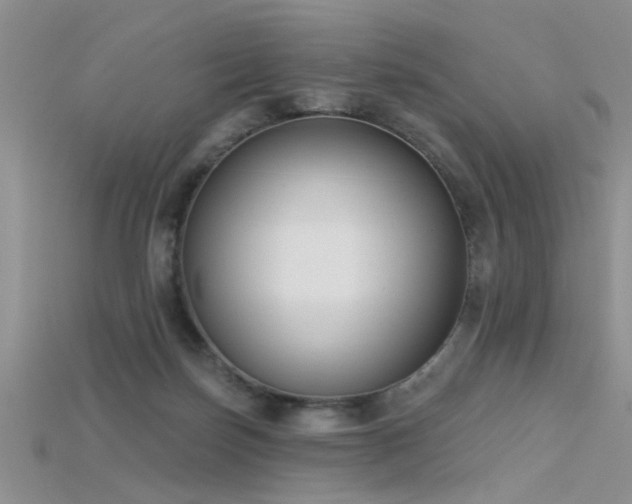 X0000115670171200911121200