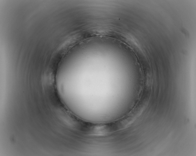 X0000115670173200911121200