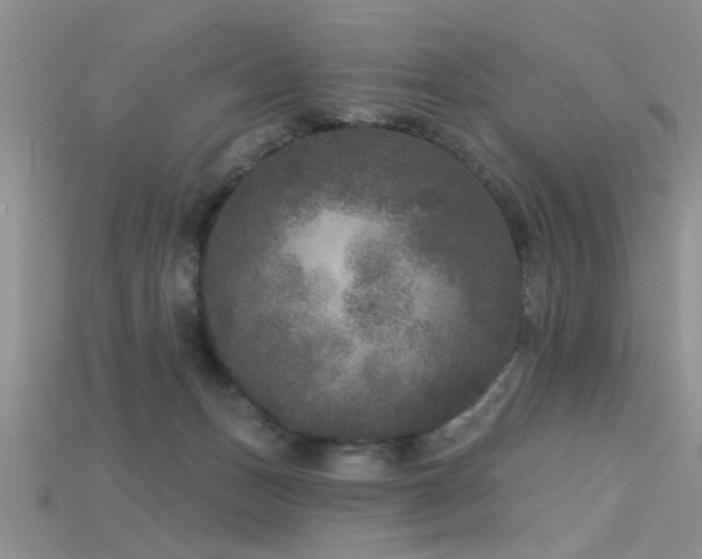 X0000115670175200911121200