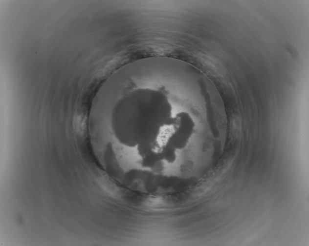 X0000115670177200911121200